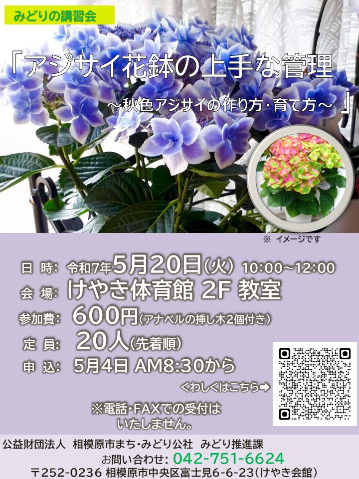 〇チラシ（R7年0520アジサイ花鉢管理）.jpg