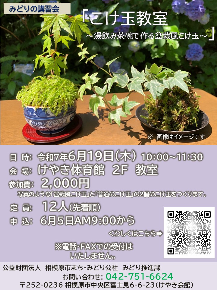 〇チラシ（R7年0619こけ玉）.jpg
