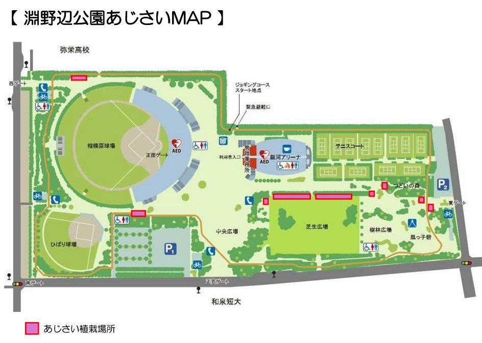 あじさいマップ.jpg