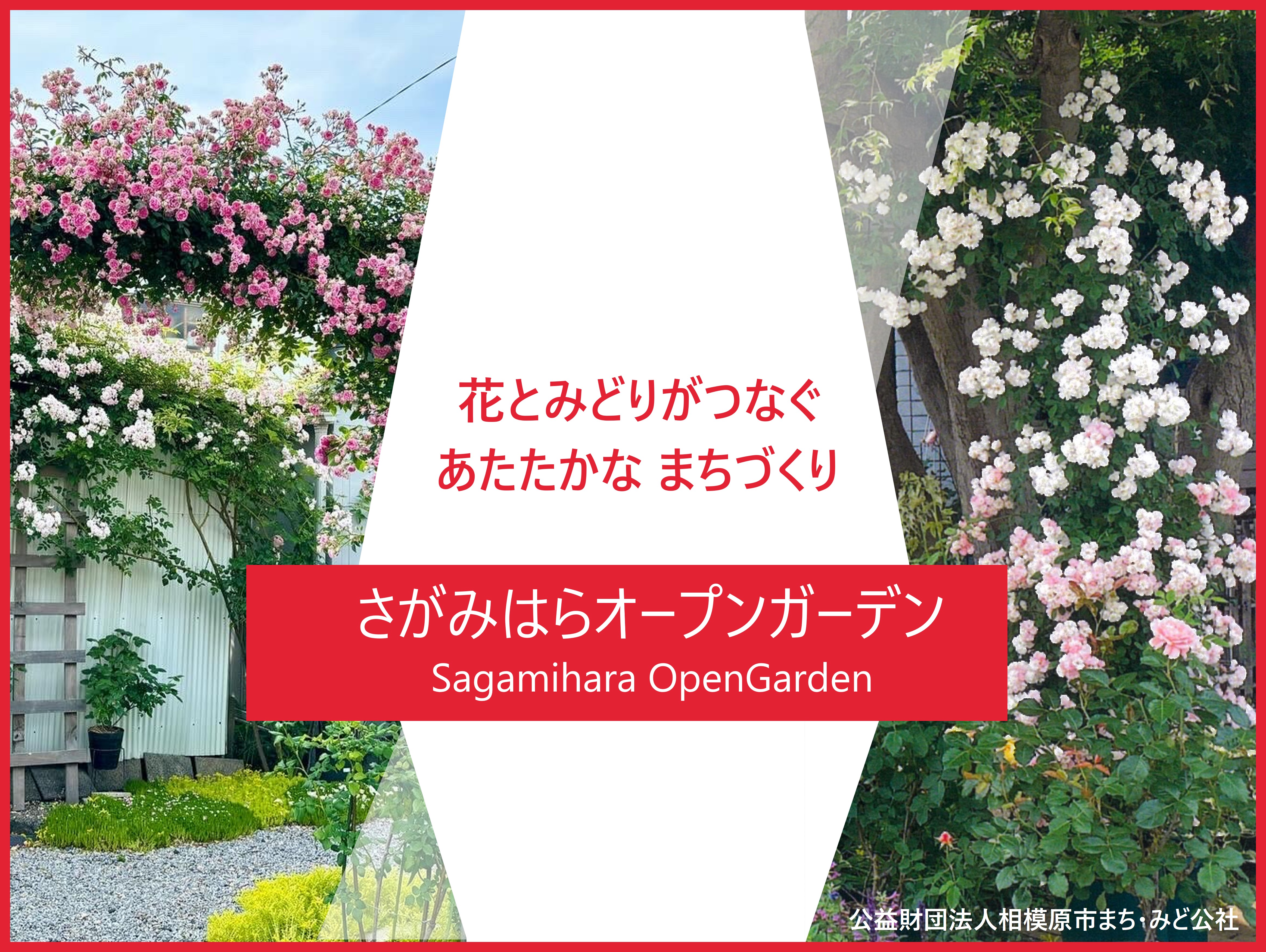 オープンガーデン.jpg
