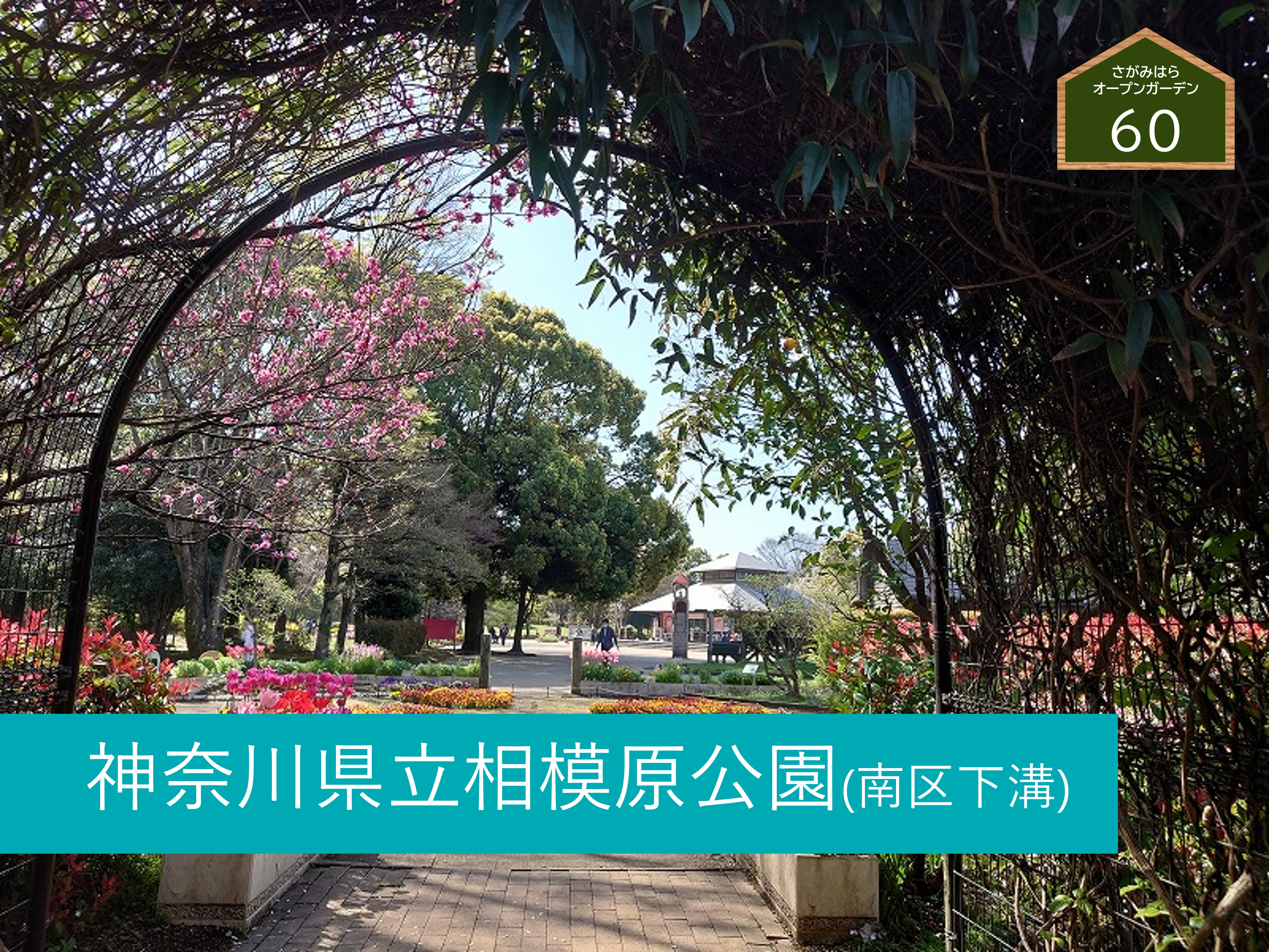 県立相模原公園.jpg